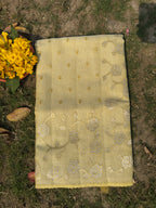Linen tissue saree with applique work and scallop border - Lemon Yellow