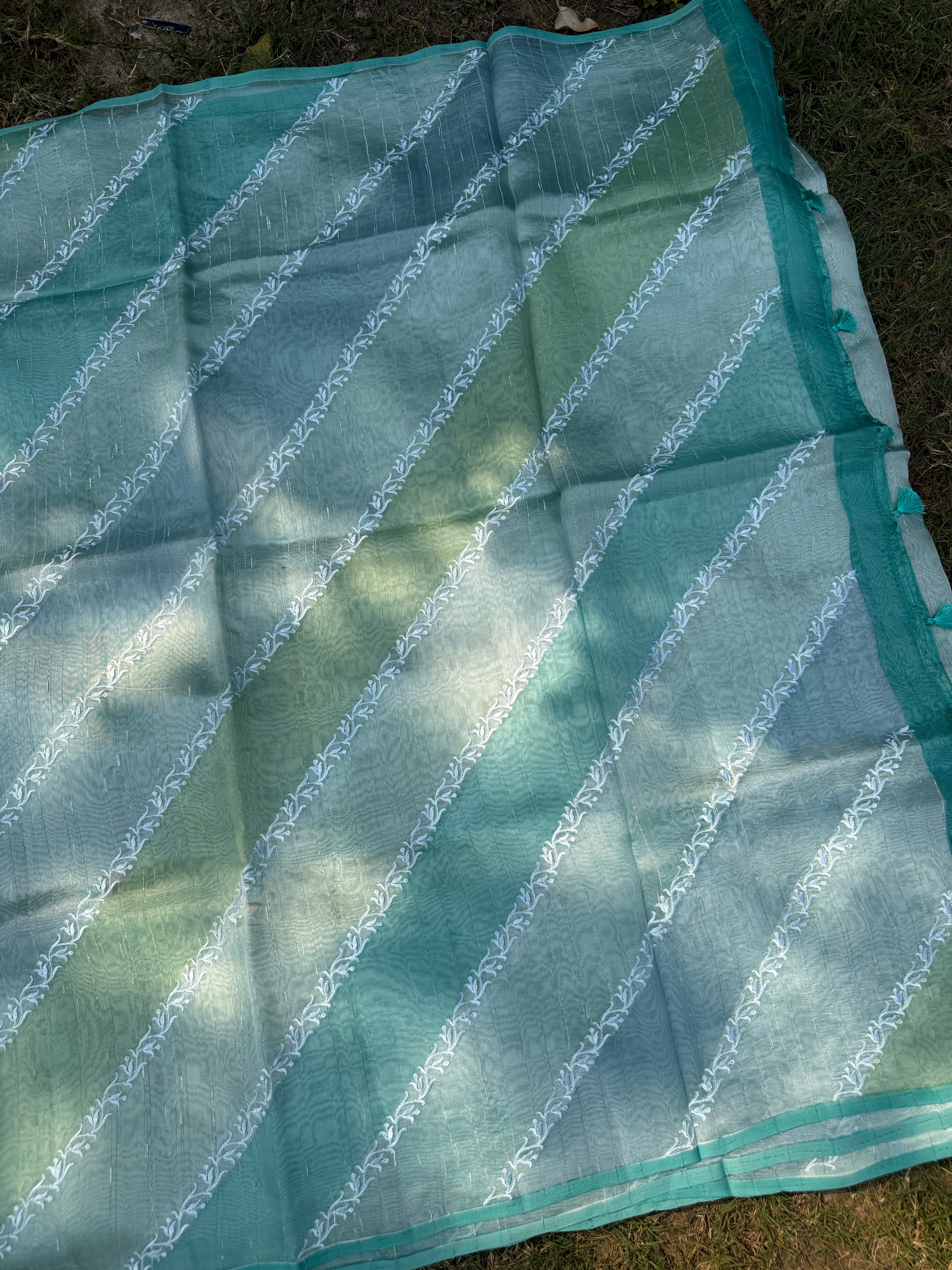 Rangkaat Raw Silk Saree with Thread Embroidery - Blue