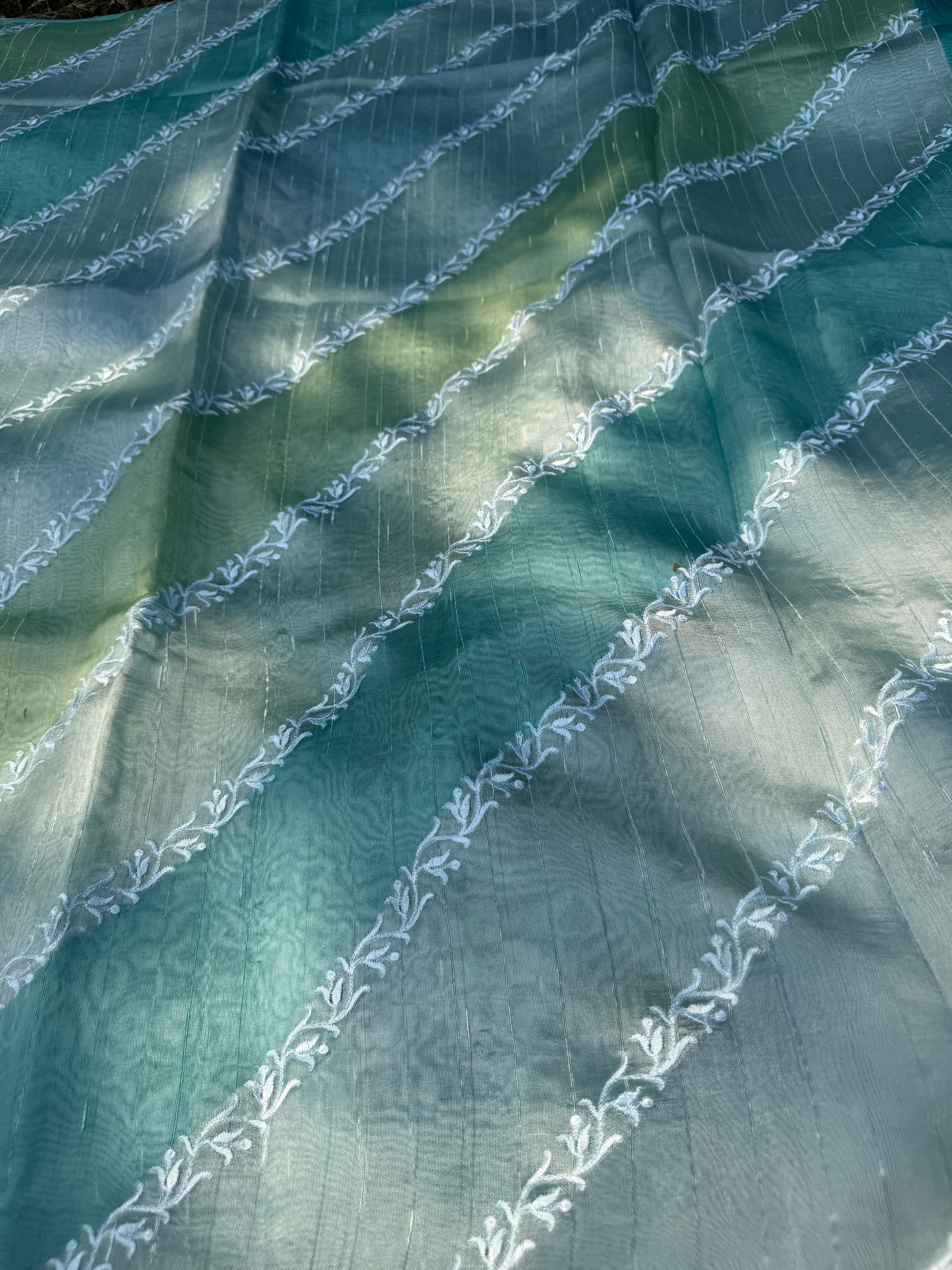 Rangkaat Raw Silk Saree with Thread Embroidery - Blue