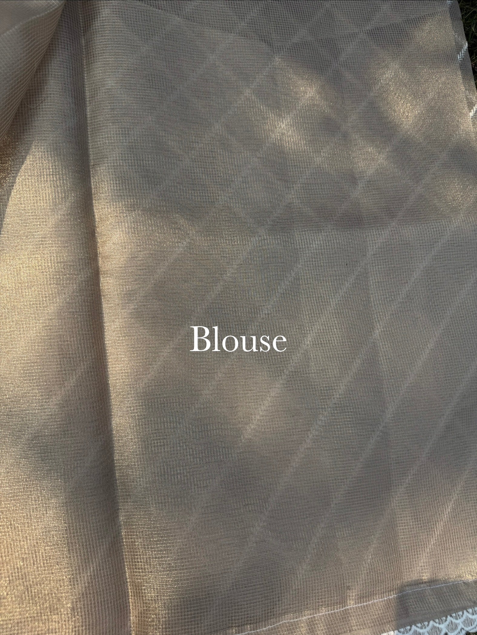 Tissue Saree with Diagonal Thread Embroidery- Gold