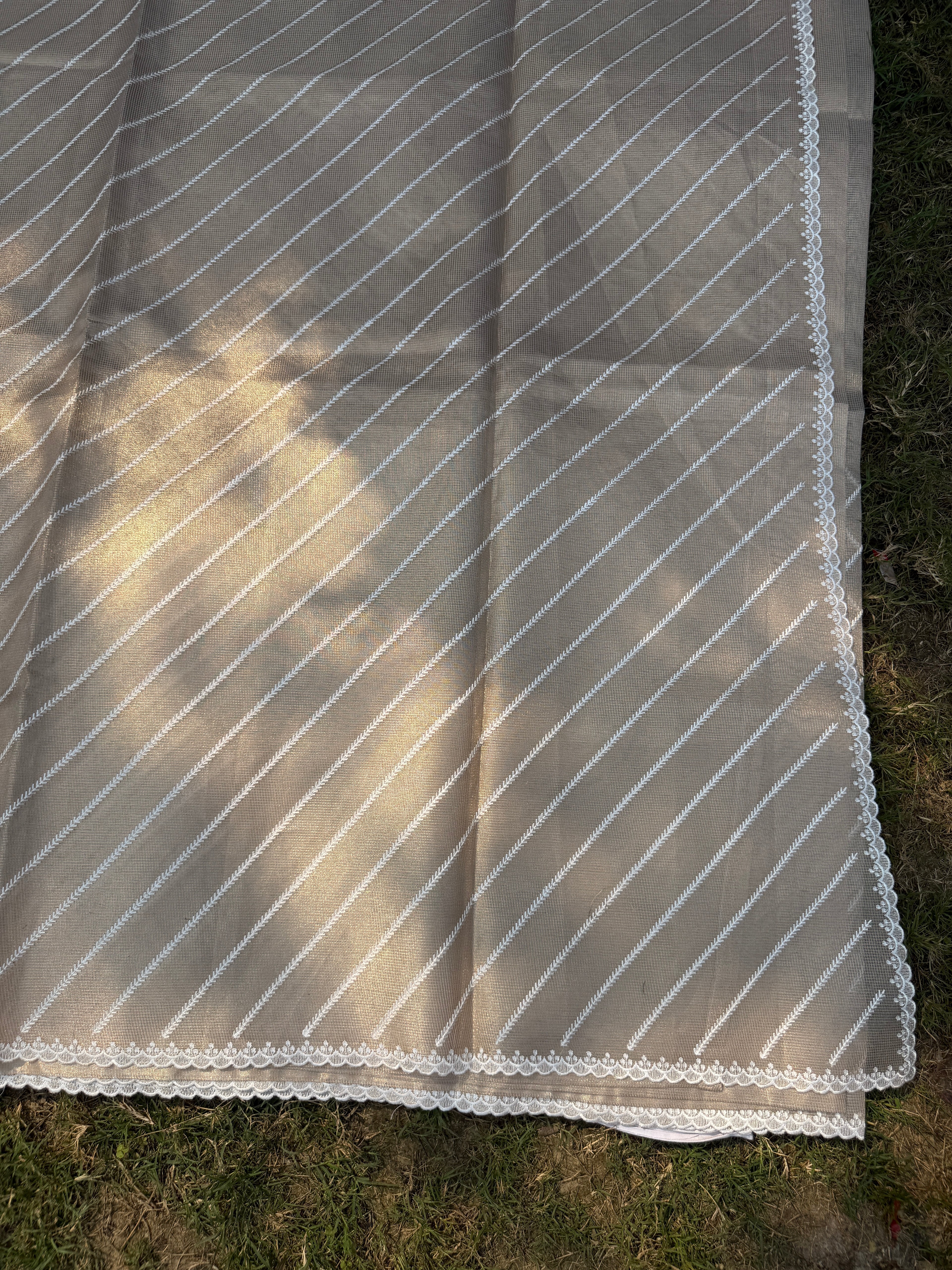 Tissue Saree with Diagonal Thread Embroidery- Gold