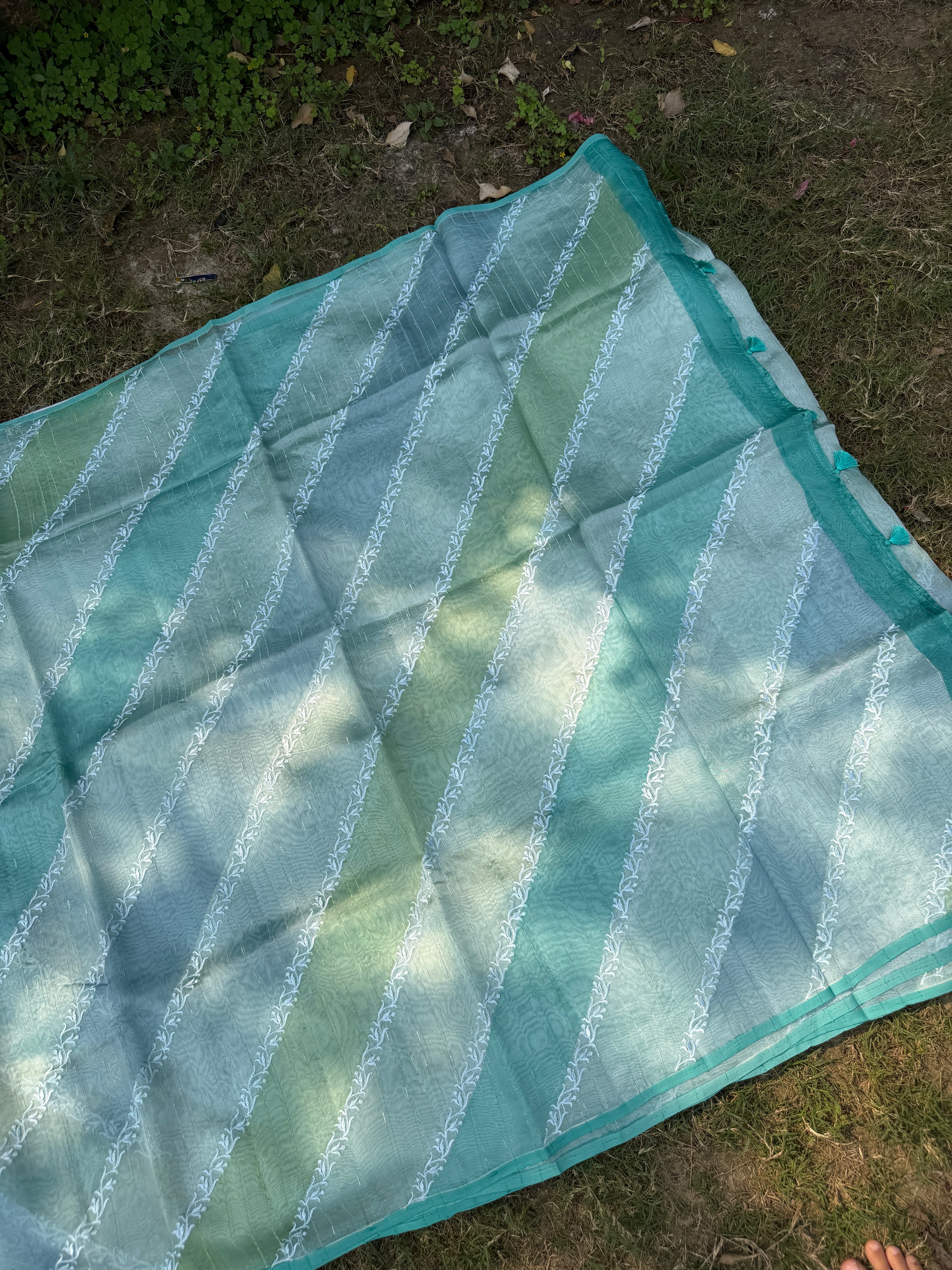 Rangkaat Raw Silk Saree with Thread Embroidery - Blue