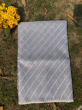 Tissue Saree with Diagonal Thread Embroidery- Pastel Blue