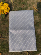 Tissue Saree with Diagonal Thread Embroidery- Pastel Blue