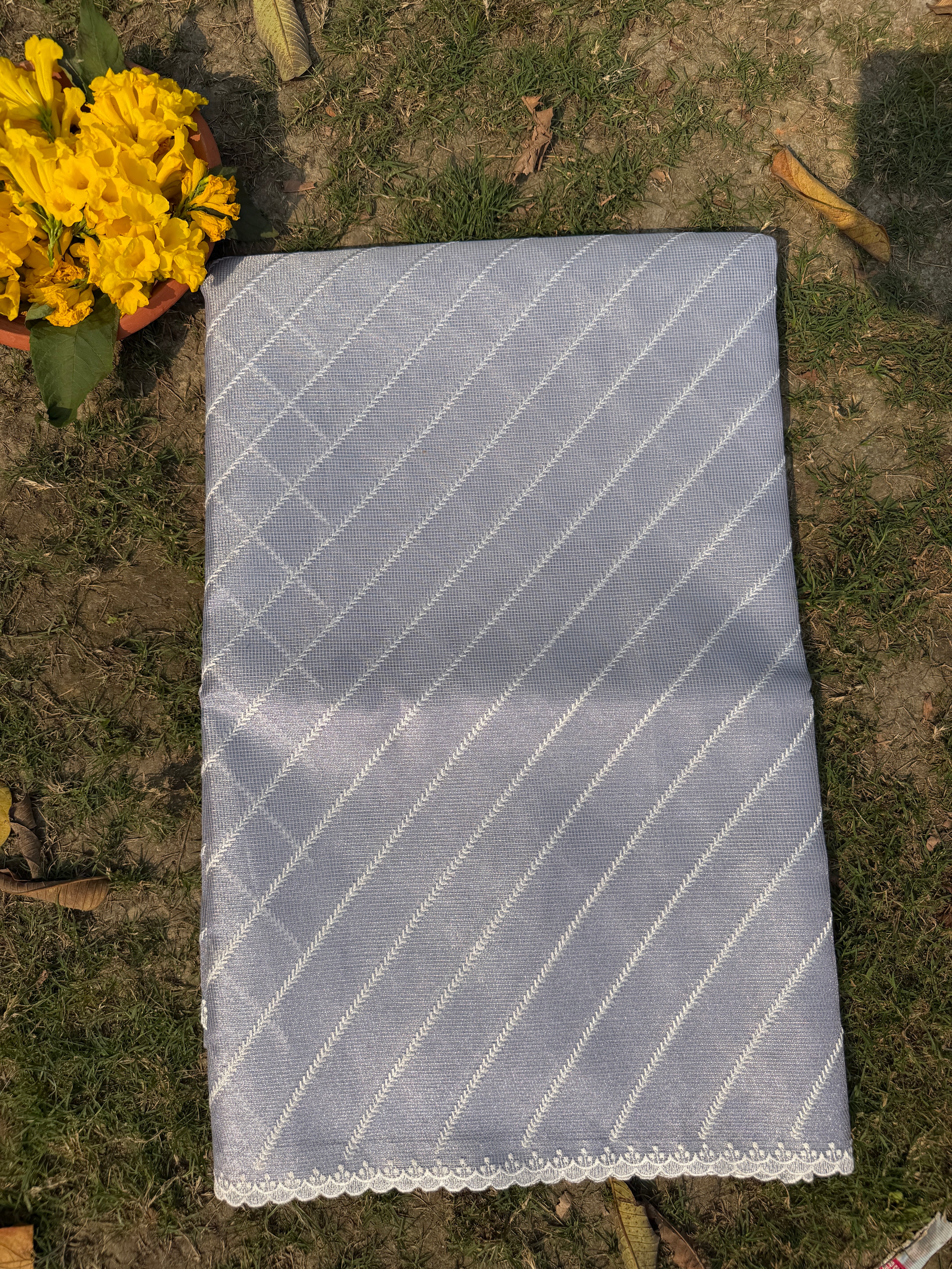 Tissue Saree with Diagonal Thread Embroidery- Pastel Blue