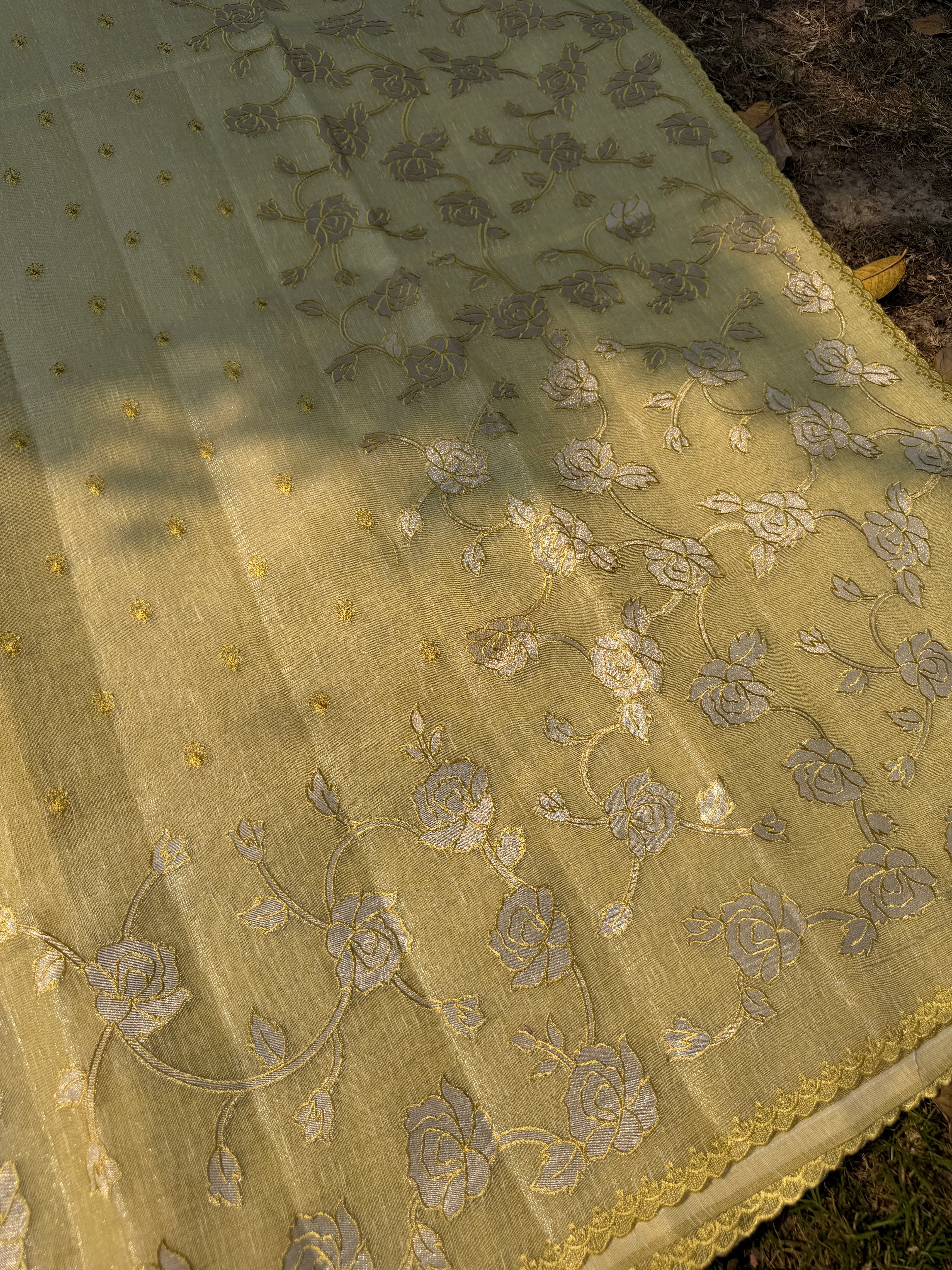 Linen tissue saree with applique work and scallop border - Lemon Yellow