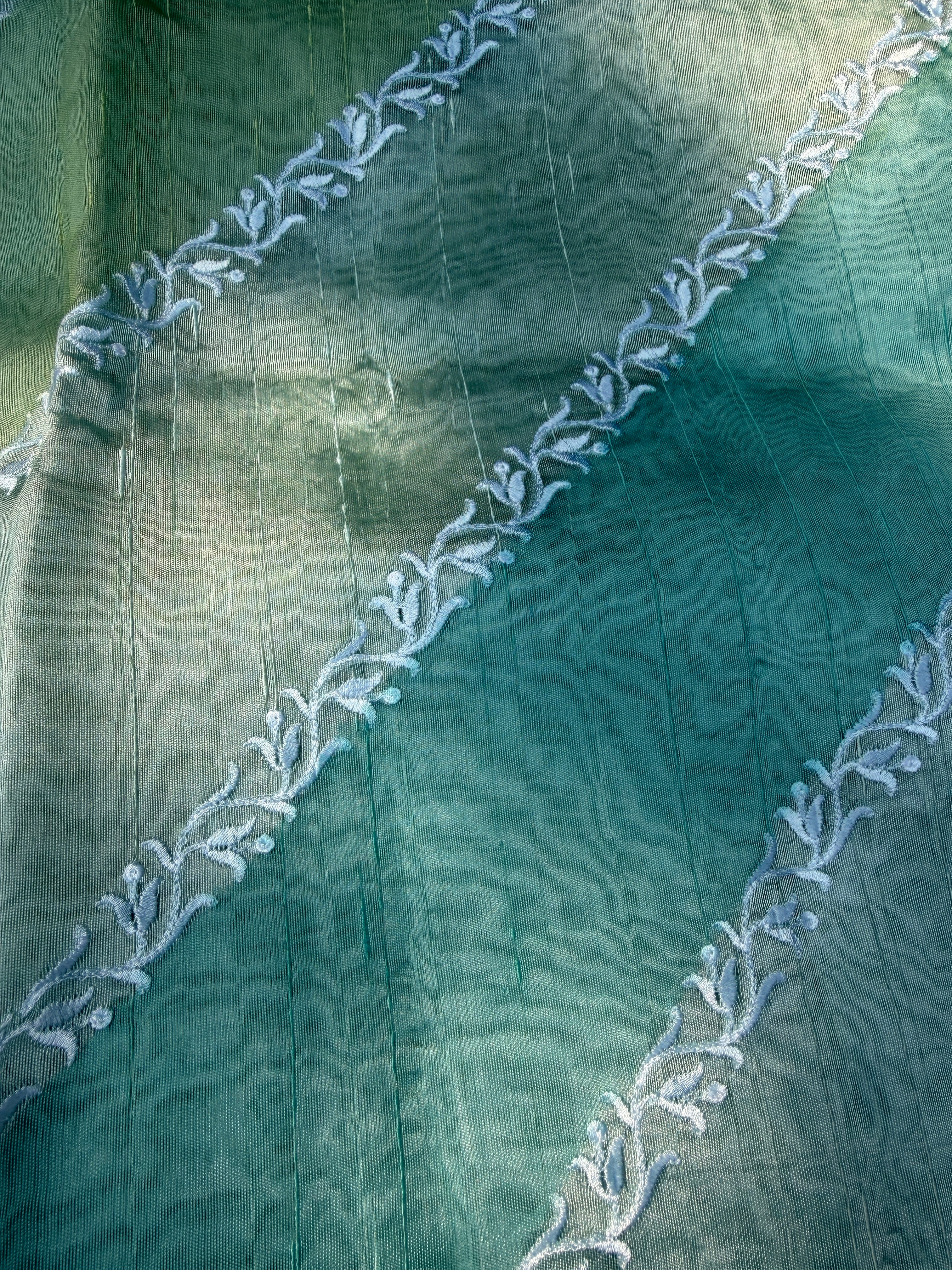 Rangkaat Raw Silk Saree with Thread Embroidery - Blue