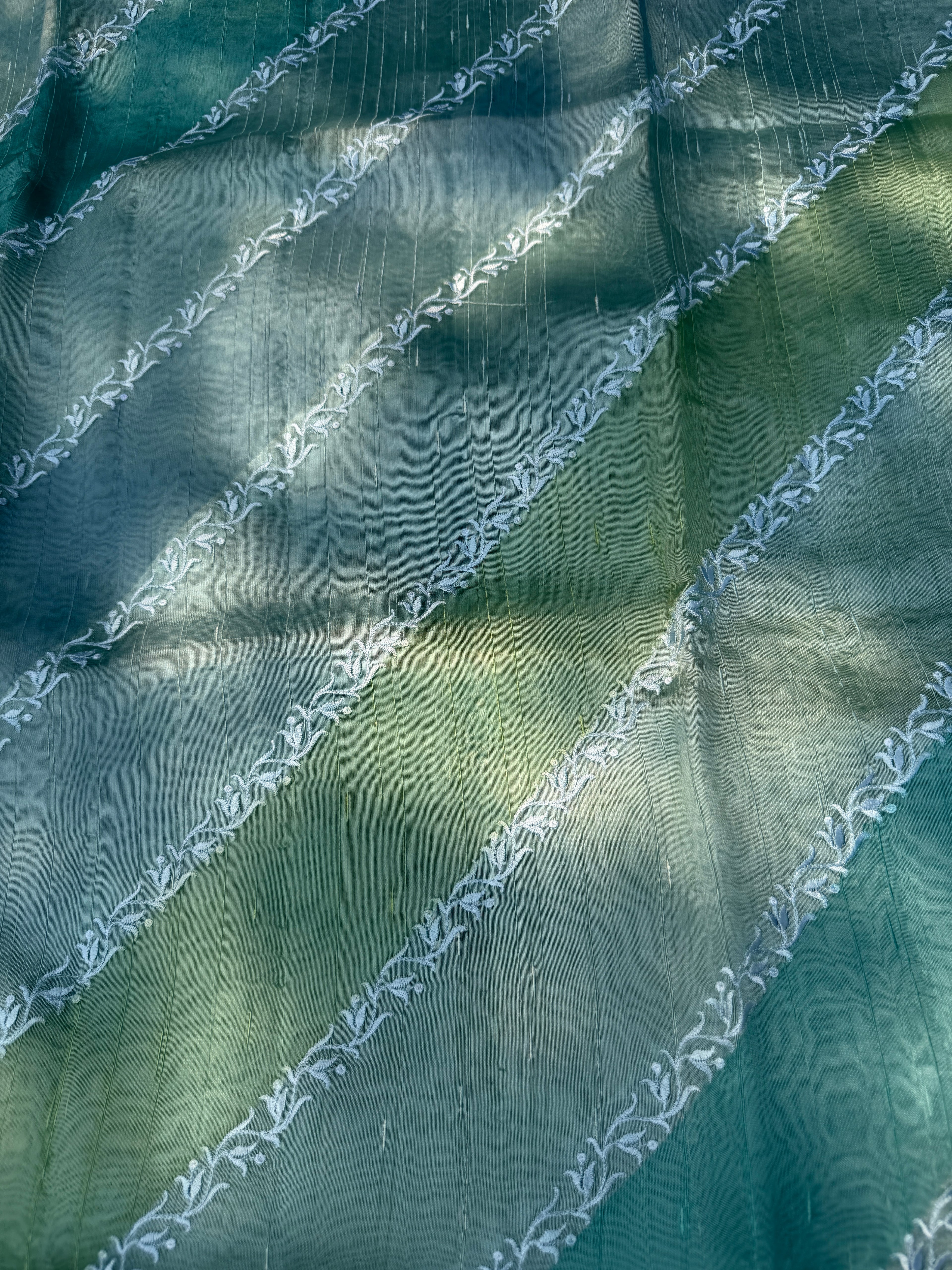 Rangkaat Raw Silk Saree with Thread Embroidery - Blue