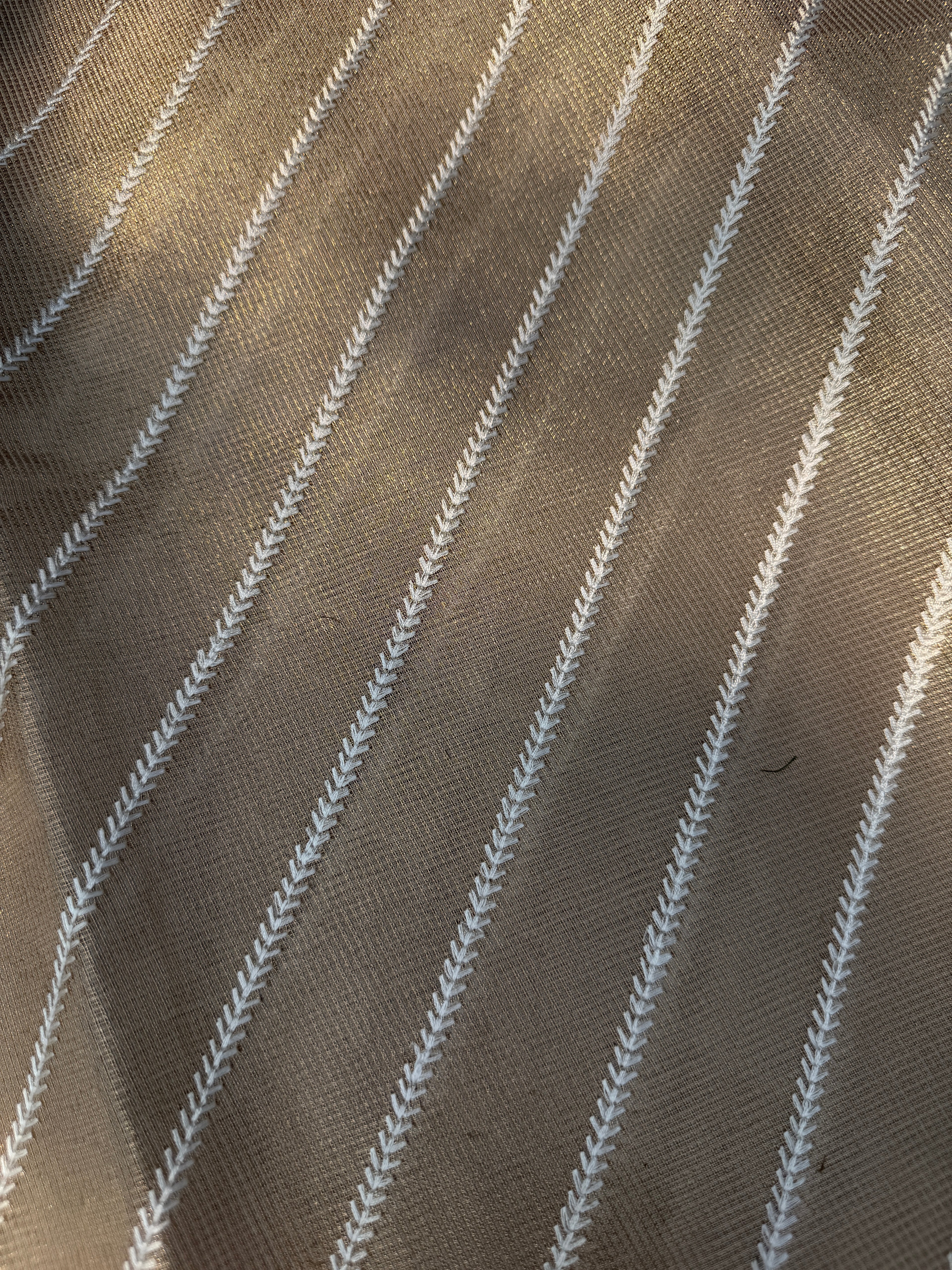 Tissue Saree with Diagonal Thread Embroidery- Gold